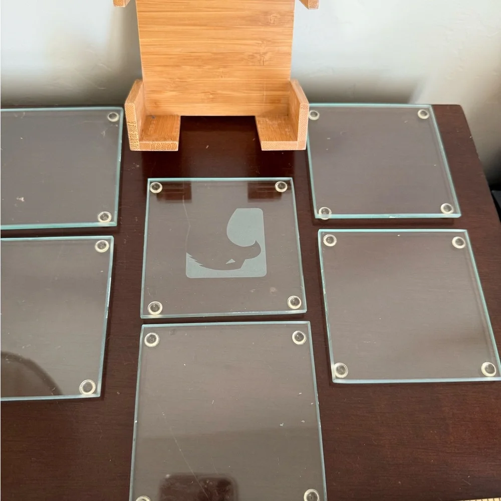 BAMBOO Glass set of 6 COASTER‎ SET by crystal & clocks 4”x4”